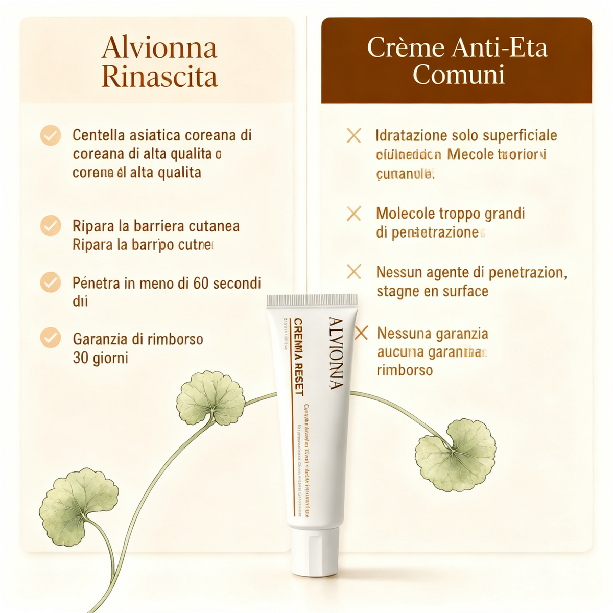 Crema Anti-età Rinascita Alvionna