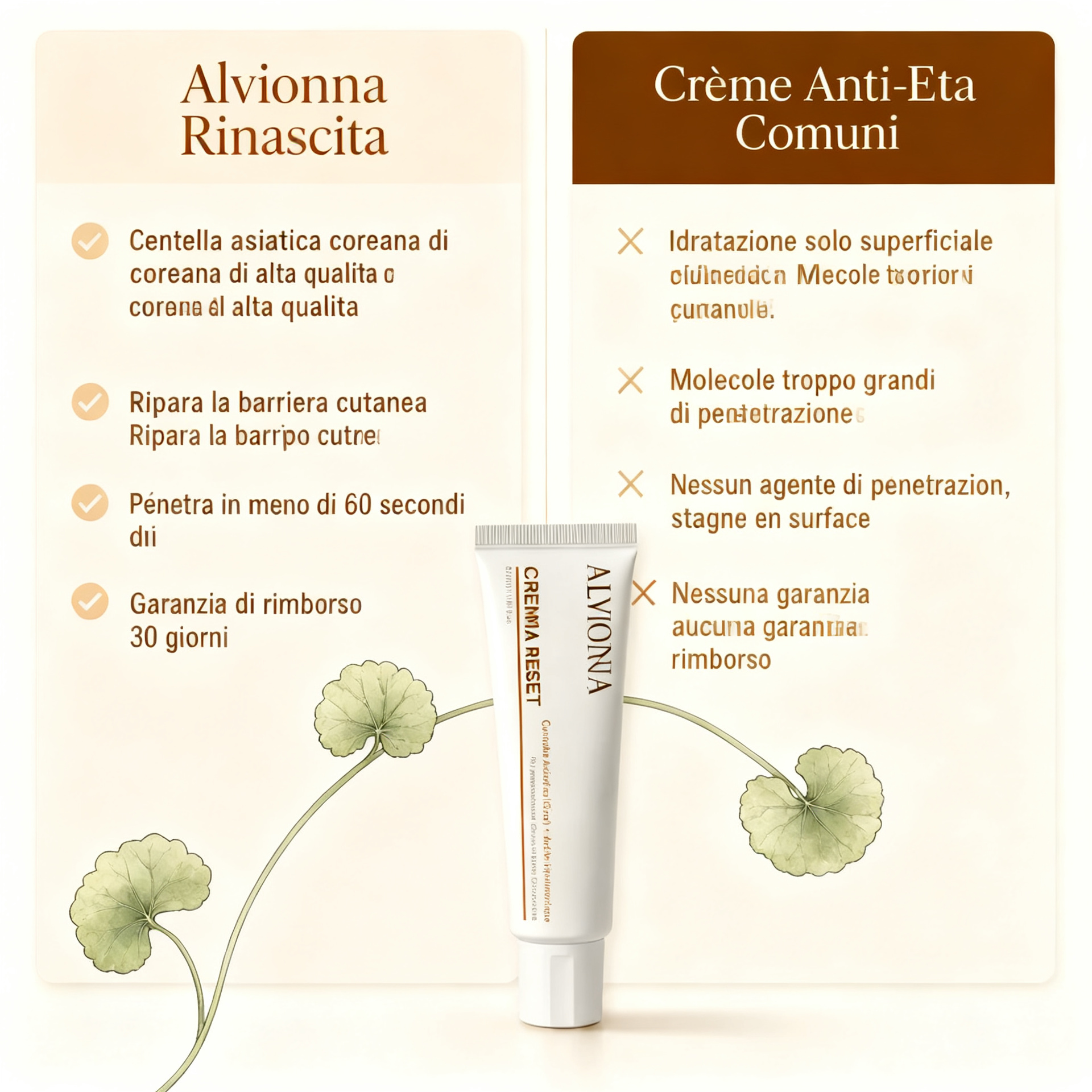 Crema Anti-età Rinascita Alvionna