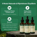 Alvionna Drenaggio Linfatico Equilibrio